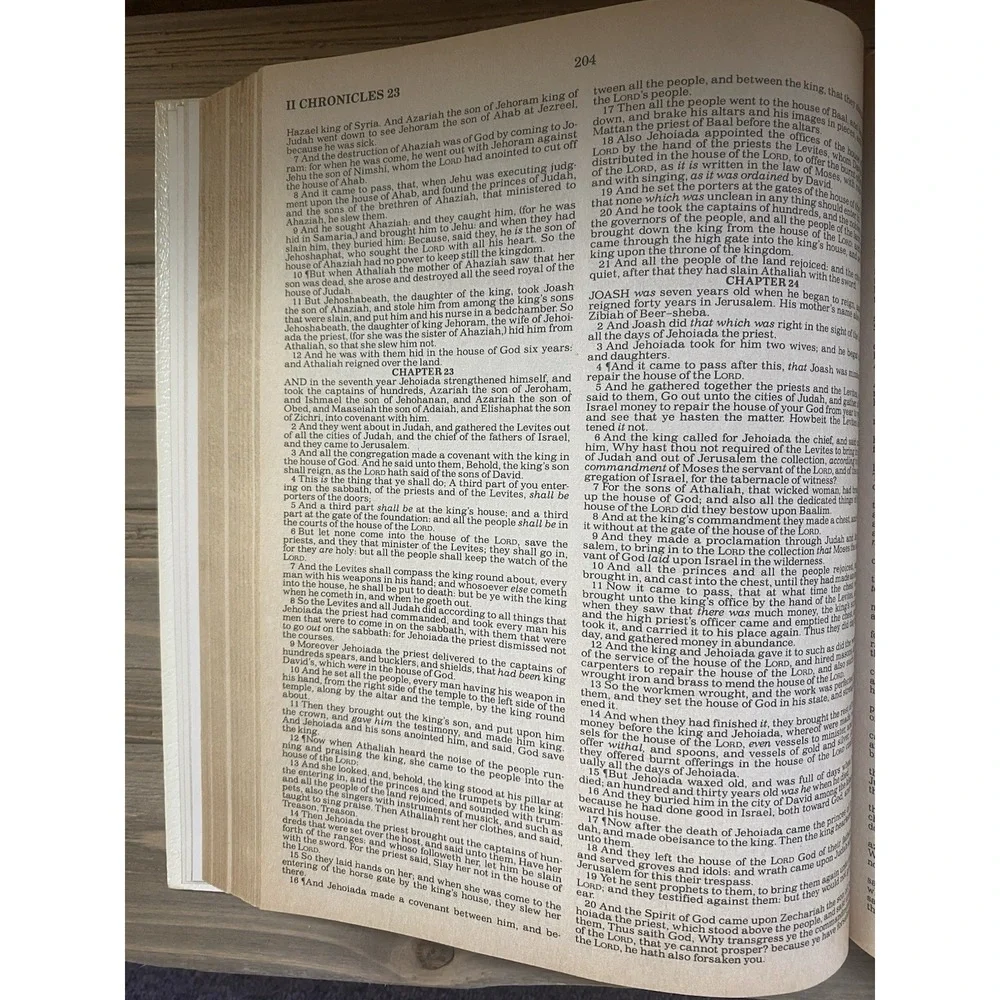 VTG Holy Bible Red Letter Edition, King James Version, Illustrated, 1987